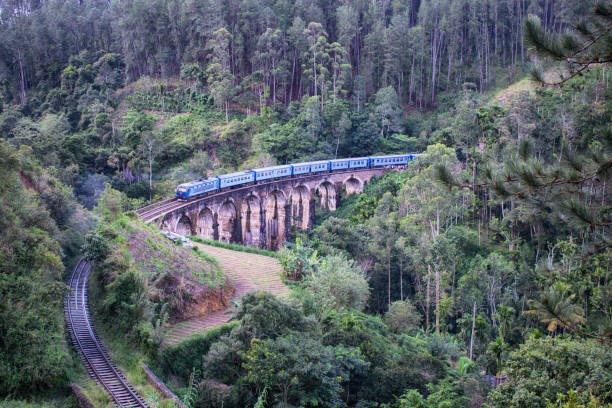 istock Train Crossing Over the Nine Arch Bridge 1171746522