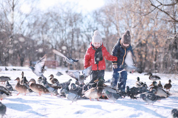 istock children feed birds in the park 1171746559