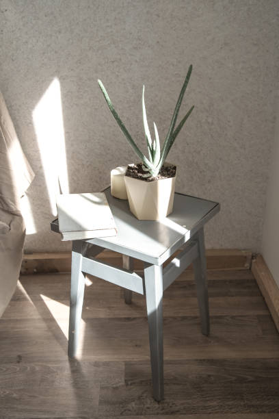 istock home chair with a beautiful flowerpot and decorative items 1171747005