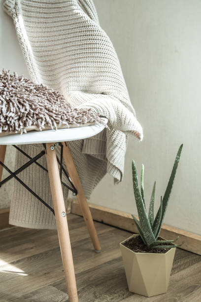 istock home chair with a beautiful flowerpot and decorative items 1171747015