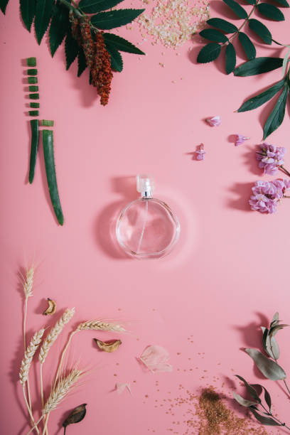 bouteille transparente de parfum dans des fleurs sur le fond rose. fond de ressort avec le parfum d'arôme. le flat lay - flower bamboo white scented photos et images de collection
