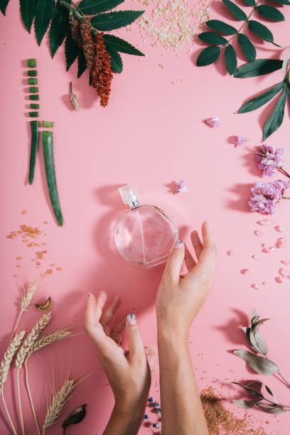 Transparent perfume bottle in flowers on pink background with woman's hands. Spring background with aroma parfume. Flat lay