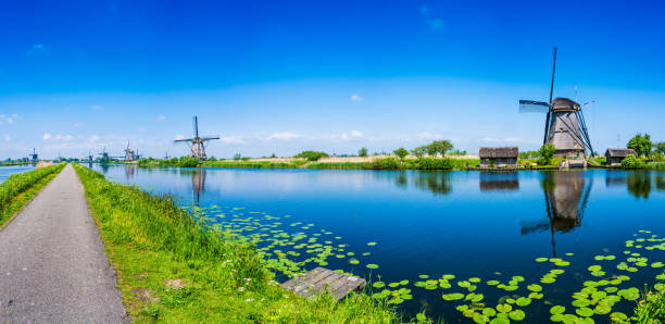 moinhos de vento holandeses tradicionais em países baixos - spring organization nature field - fotografias e filmes do acervo
