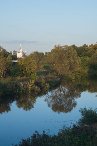 istock narrow river with trees on the shore 1171748319