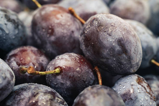 istock Close up beautiful fresh plums background. Macro view. 1171748659