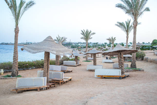 istock Empty beautiful beach with umbrellas and sunbeds in Egypt . 1171748713