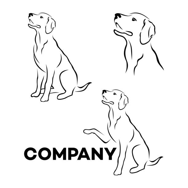 Dog Labrador symbol Dog Labrador symbol happy dog stock illustrations