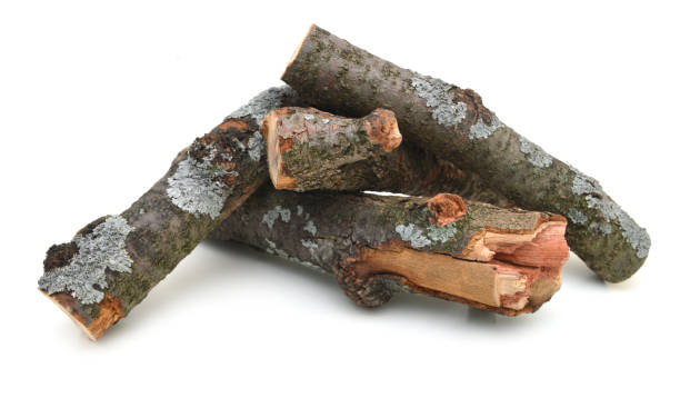 istock Wooden stick log. Top view. Isolated on a white. 1171750271