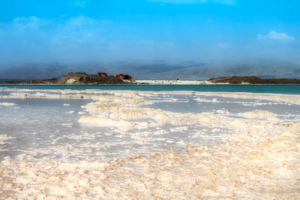 plaża crystal sal na wybrzeżu morza martwego, izrael. - travel israel day crystal zdjęcia i obrazy z banku zdjęć