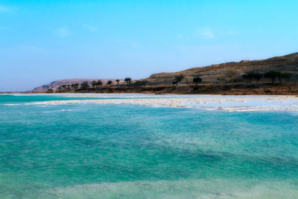 istock Crystal sal beach on Dead Sea coast, Israel. 1171756278
