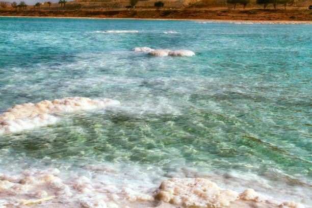 死海沿岸のクリスタルサルビーチ, イスラエル. - travel israel day crystal ストックフォトと画像