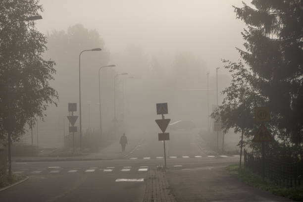 Foggy morning in Finland