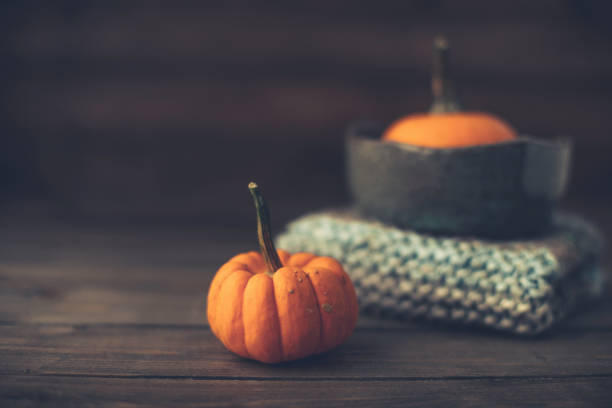 Pumpkin still life with bowl and blanket for Thanksgiving