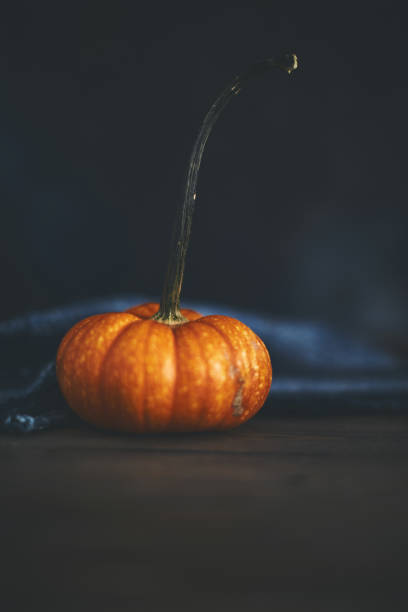Still life arrangement of miniature pumpkins