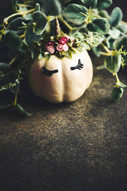 istock Handmade unicorn pumpkin with leaves and copy space 1171765453