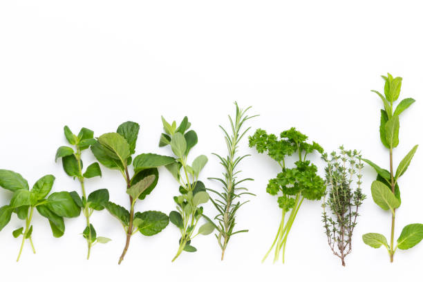 istock Herbal spice on a white background. Top view. 1171770510