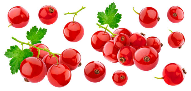 istock Red currant isolated on white background with clipping path, collection 1171770723