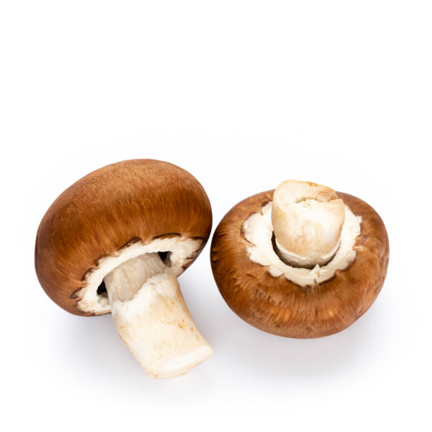 istock Fresh champignon mushrooms isolated on white. 1171770905
