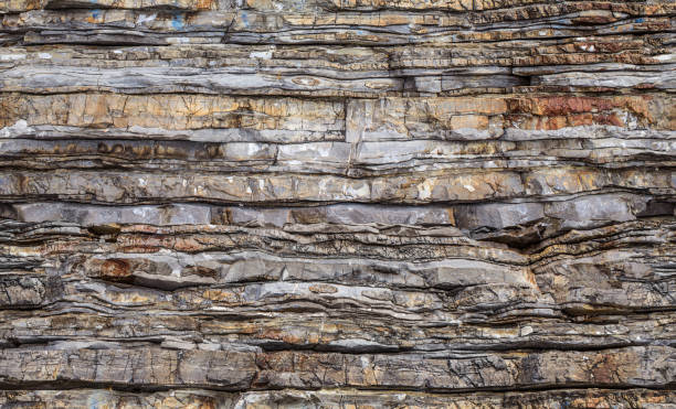 istock seamless pattern background of wild cracked stone 1171772192