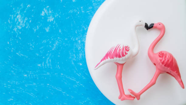 istock White painted a two flamingoes with white cream on bright blue background. 1171772410