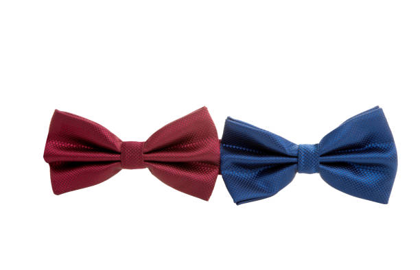 istock male bow tie isolated 1171773515