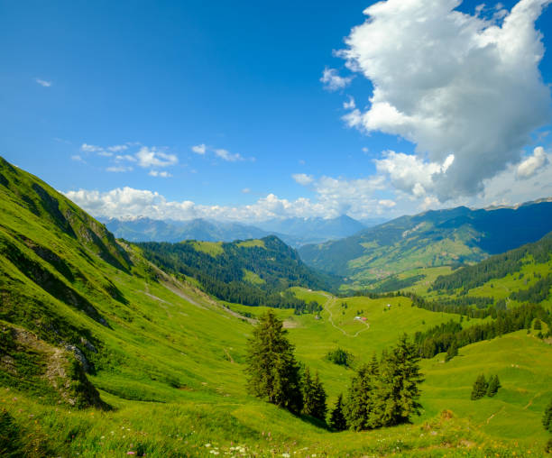istock Summer time mountain panoramic landscape in Switzerland 1171777013
