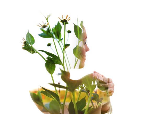 istock Multiple exposure of a young woman morphing into wildflower 1171777129