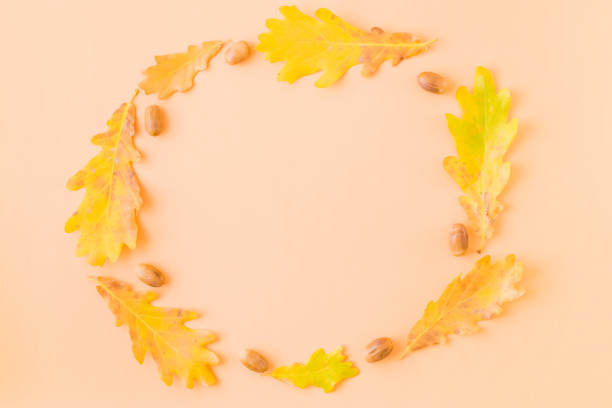 Flat lay frame with colorful autumn leaves and acorns on a color background
