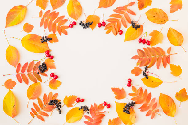 istock Flat lay frame with colorful autumn leaves and berries on a white background 1171777213