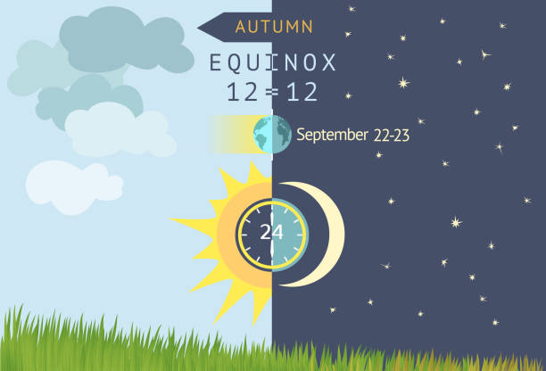 Autumnal equinox, day and night are equal to 12 hours. Astronomical beginning of autumn. Night becomes longer than Day in the northern hemisphere. Sun and Moon over grass field. Vector illustration. world nature heritage stock illustrations