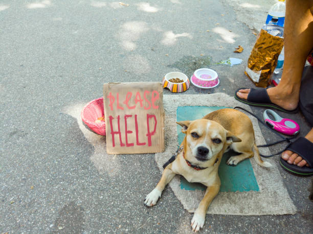 homeless man and his small dog