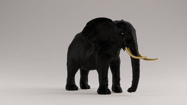 istock Black Elephant with Golden Tusks 3 Quarter Right View 1171782724