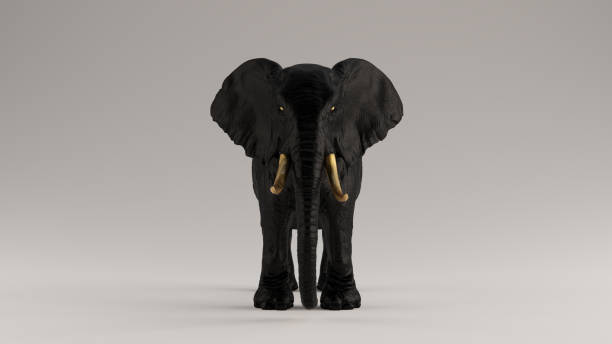 istock Black Elephant with Golden Tusks Front View 1171783826