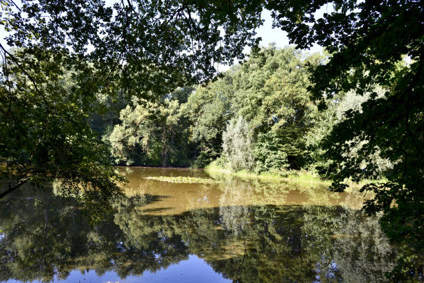 istock Lake landscape in summer with bright sunshine and blue sky 1171783836