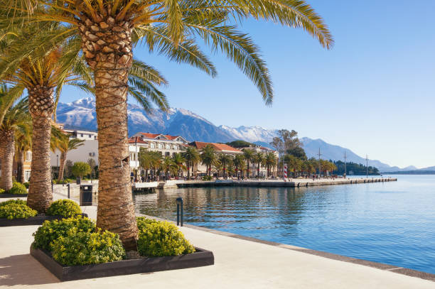 Beautiful Mediterranean landscape. Montenegro, view of Tivat city Embankment of Tivat town with Lovcen mountain in the background. Bay of Kotor(Adriatic Sea), Montenegro, winter montenegro stock pictures, royalty-free photos & images