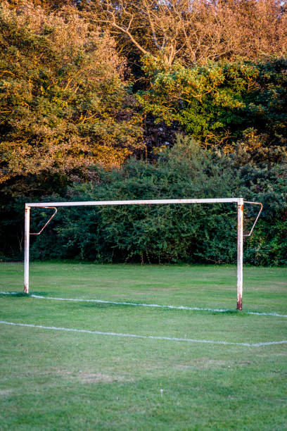 istock Football pitch goal 1171787618
