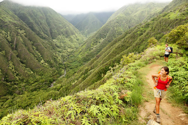 Hiking people on Hawaii, Waihee ridge trail, Maui Hiking people on Hawaii, Waihee ridge trail, Maui, USA. Young woman and man hikers walking in beautiful lush Hawaiian forest nature landscape in mountains. Asian woman hiker in foreground. hawaii islands stock pictures, royalty-free photos & images