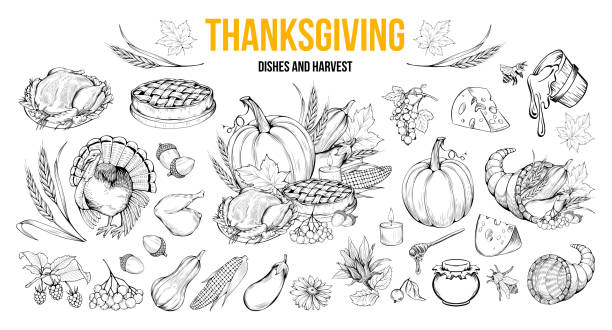 Thanksgiving dishes and harvest illustrations set Thanksgiving coloring book illustrations set. Traditional autumn holiday celebration hand drawn symbols. Fall season harvest, natural vegetables. Turkey, pumpkin, honey and pie monochrome drawings meat clipart stock illustrations