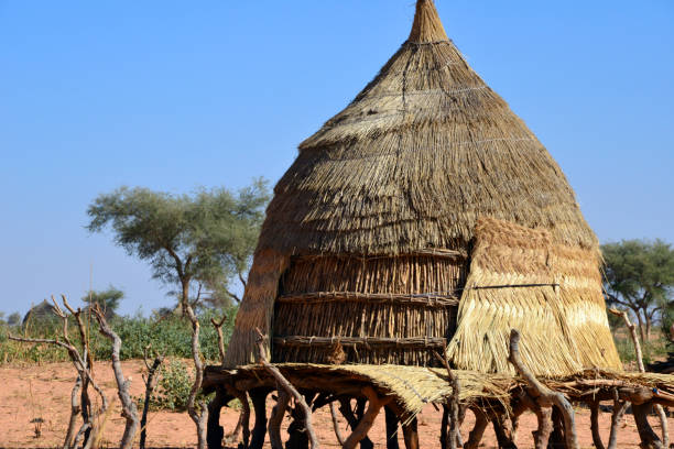 istock Thatched straw hut on stilts, Baboussay, Niger 1171789479