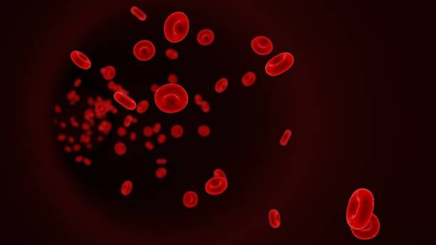 istock Red blood cells (erythrocytes) in a vein 1171789508