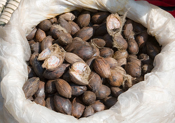 borsa di betel dado - noce di areca foto e immagini stock