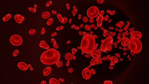 istock Red blood cells (erythrocytes) in a vein 1171789766