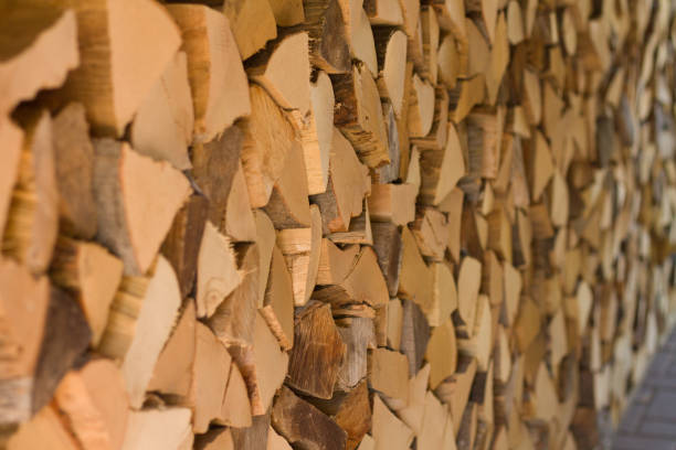 istock Cut Firewood logs stacked in a garden for winter 1171790706