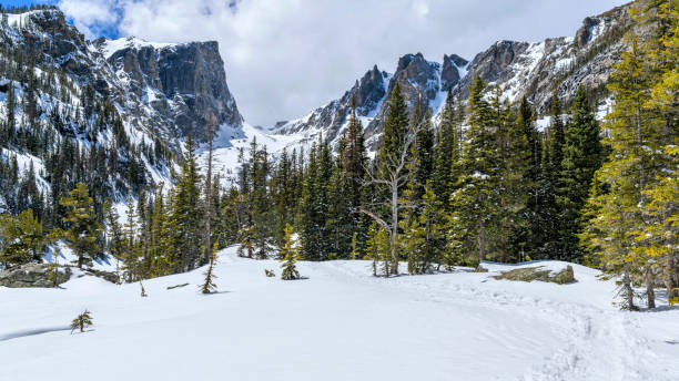 雪の山 - 米国コロラド州ロッキーマウンテン国立公園の白い雪と緑の森に囲まれたハレットピークとフラットトップマウンテンのパノラマの春の景色。 - エステスパーク ストックフォトと画像
