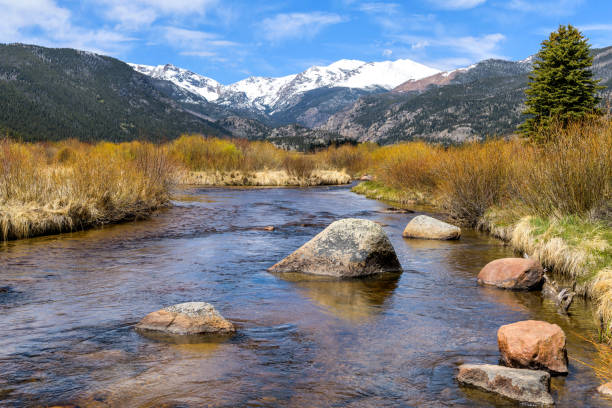 spring mountain creek - une vue de printemps de la rivière big thompson au parc moraine dans le parc national des montagnes rocheuses, colorado, etats-unis. - big thompson river photos et images de collection