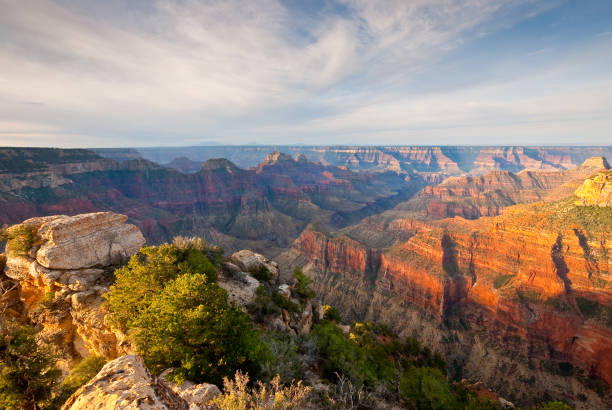Bright Angel Canyon at Sunrise Sixty million years ago the west side of Bright Angel Fault was lifted higher than the east side, creating the canyon that we now see. The exposed walls of Bright Angel Canyon allow us to see the geological history of the area. Tropical seas, coastal beaches, sand dunes, swamps, lagoons, and Sahara-like deserts are represented by the horizontal layers that are exposed. The upper five layers of stacked rock records 70 million years of rising and falling sea levels. The limestone layers represent shallow sea environments, sandstone layers mean sandy beaches or dunes, while shale layers translate to mud flats, swamps, or coastal plains. This picture of Bright Angel Canyon was taken at sunrise from Bright Angel Point on the North Rim of Grand Canyon National Park, Arizona, USA. jeff goulden grand canyon national park stock pictures, royalty-free photos & images