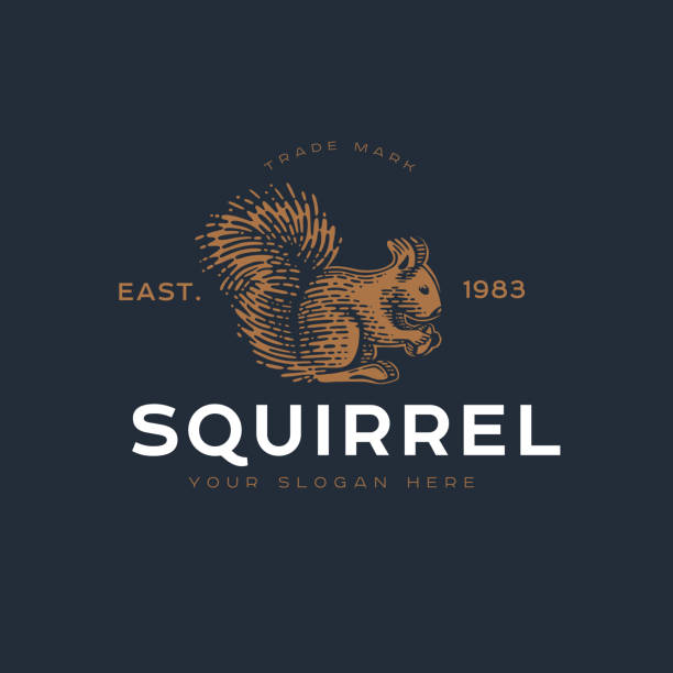 ilustrações, clipart, desenhos animados e ícones de logotype do esquilo. - squirrel