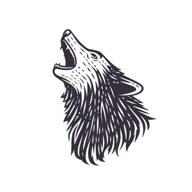 オオカミのベクトルイラスト。 - wolf coyote howling dog点のイラスト素材／クリップアート素材／マンガ素材／アイコン素材