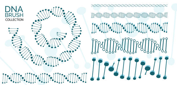 ヒトdna鎖またはゲノムらせん分子シームレスライン - genealogy research点のイラスト素材／クリップアート素材／マンガ素材／アイコン素材