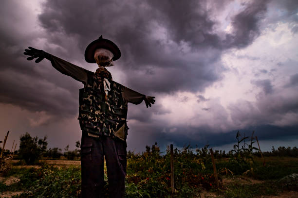 scarecrow-in-stormy-weather-background.j
